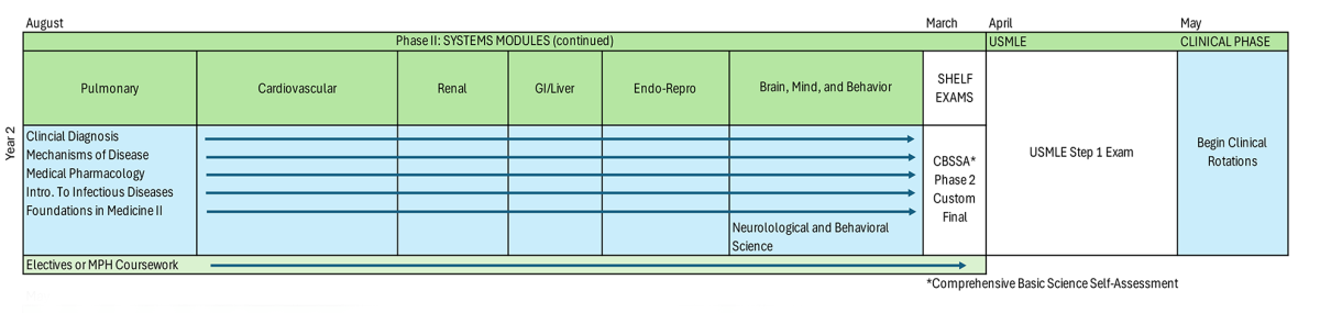 MD curriculum for year 2