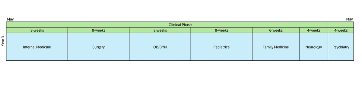 MD curriculum for year 3