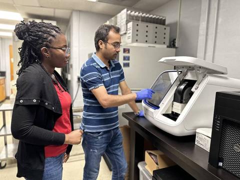 Lab members demonstrating SeqStudio for Sanger Sequencing
