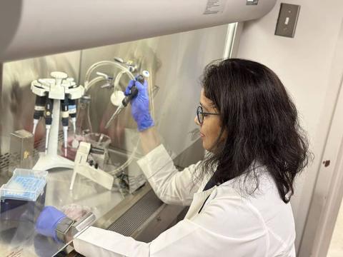 Working with cell line