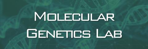 Molecular Genetics Lab