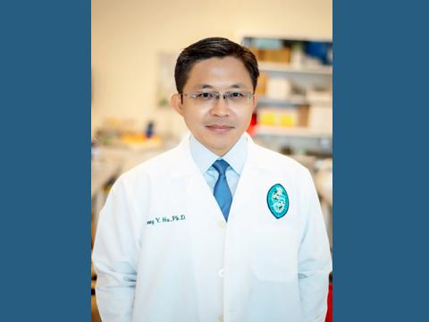 Tony Ye Hu, PhD