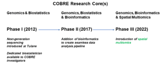 Evolution of the COBRE in Aging and Regenerative Medicine Core.