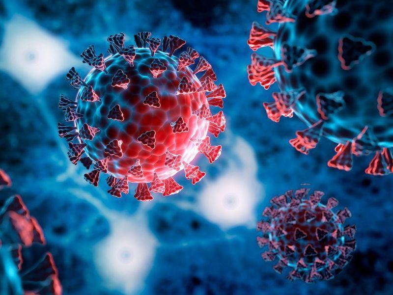 This is a stock image of the SARS CoV-2 Virus