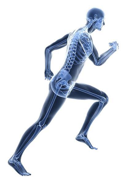 This is an image of a running man with a visible skeleton