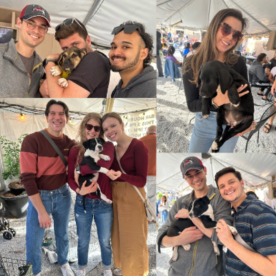 This is a collage of photos showing people holding puppies