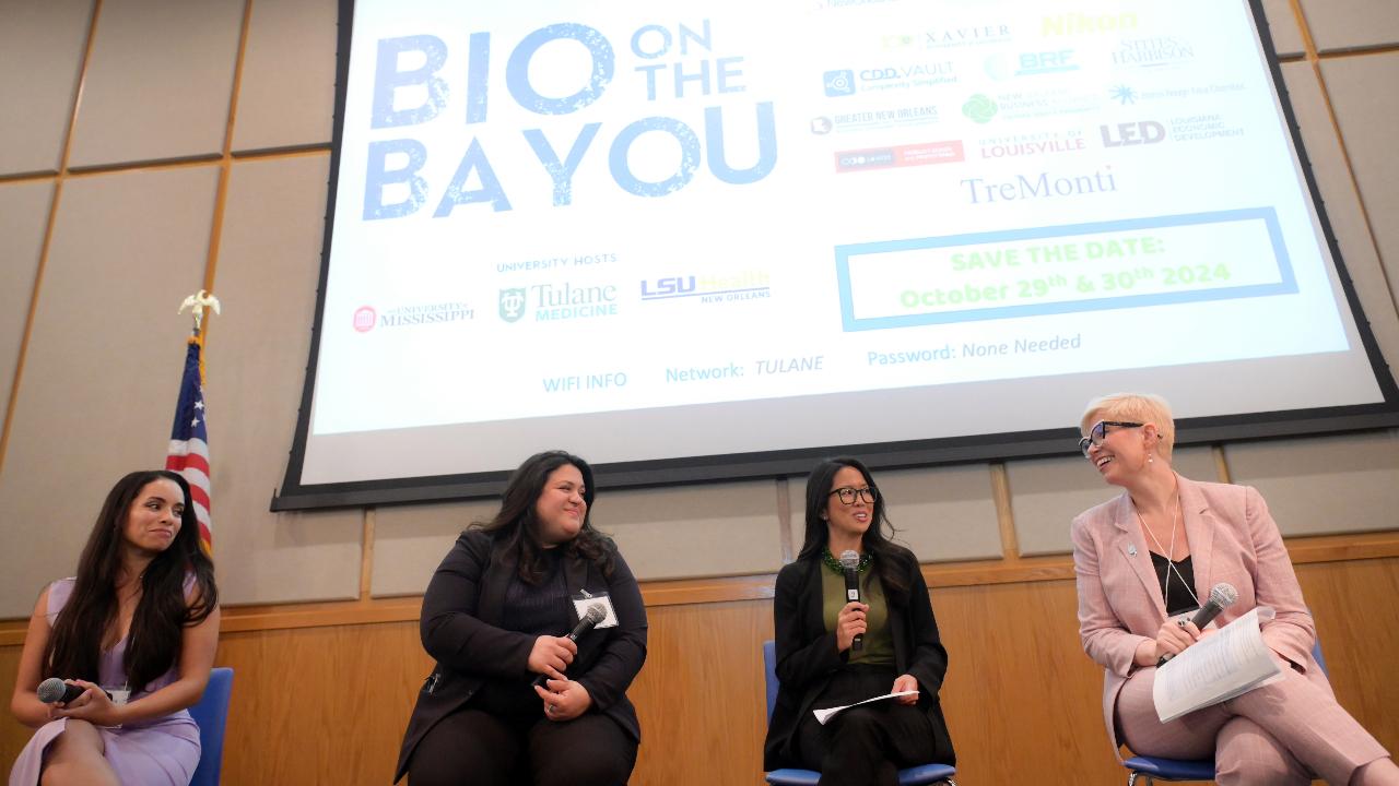 This is an image of four presenters on a panel