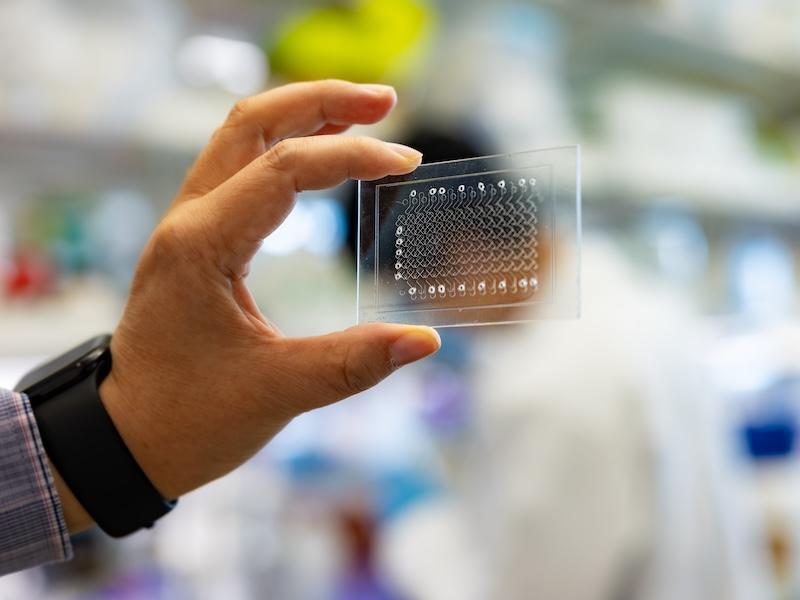 A hand holds a clear TB test about the size of a credit card in a lab setting