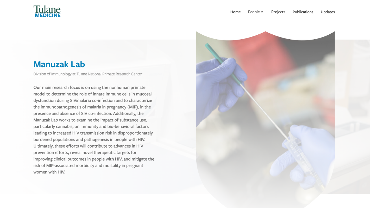 This image shows the front page of a lab site