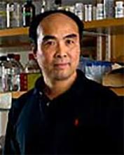 Yipeng Chen, PhD
