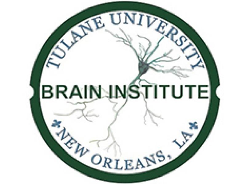 The Brain Institute