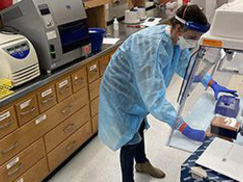 researcher in lab working on new COVID-19 test