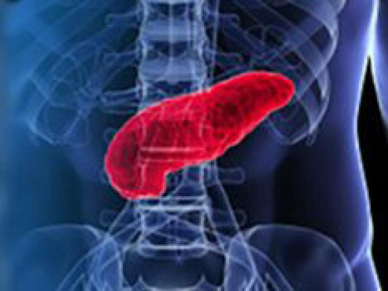 body with liver highlighted-illustration