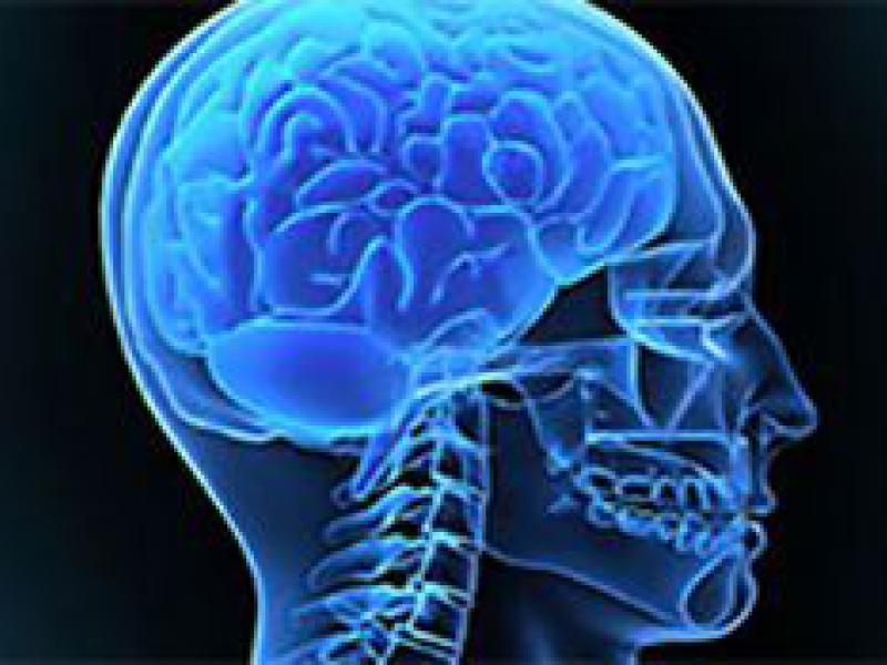 neurosciences blue brain illustration