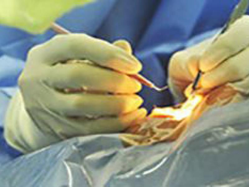 gloved hands in surgery