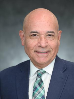 Roberto E Diaz dell Valle