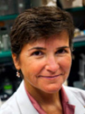Aline Betancourt, PhD