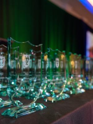 This image shows awards sitting on a table