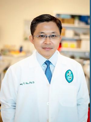Tony Ye Hu, PhD