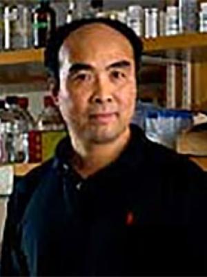 Yipeng Chen, PhD